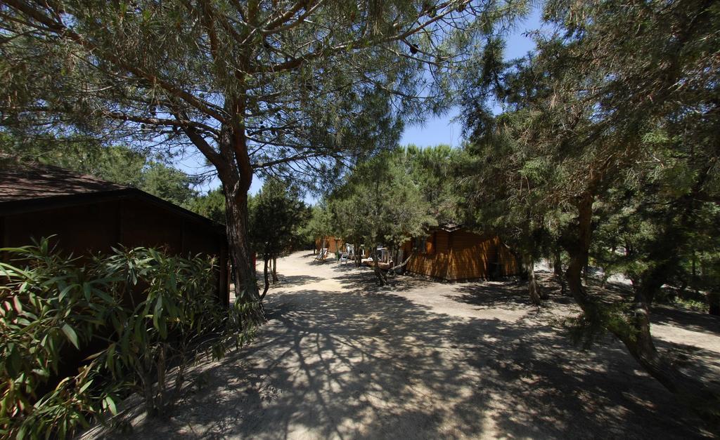 Villaggio Camping Spiaggia Del Riso Виласимиус Екстериор снимка