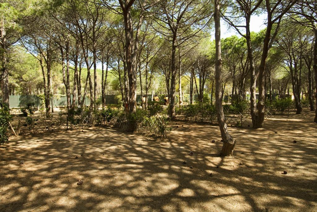 Villaggio Camping Spiaggia Del Riso Виласимиус Екстериор снимка